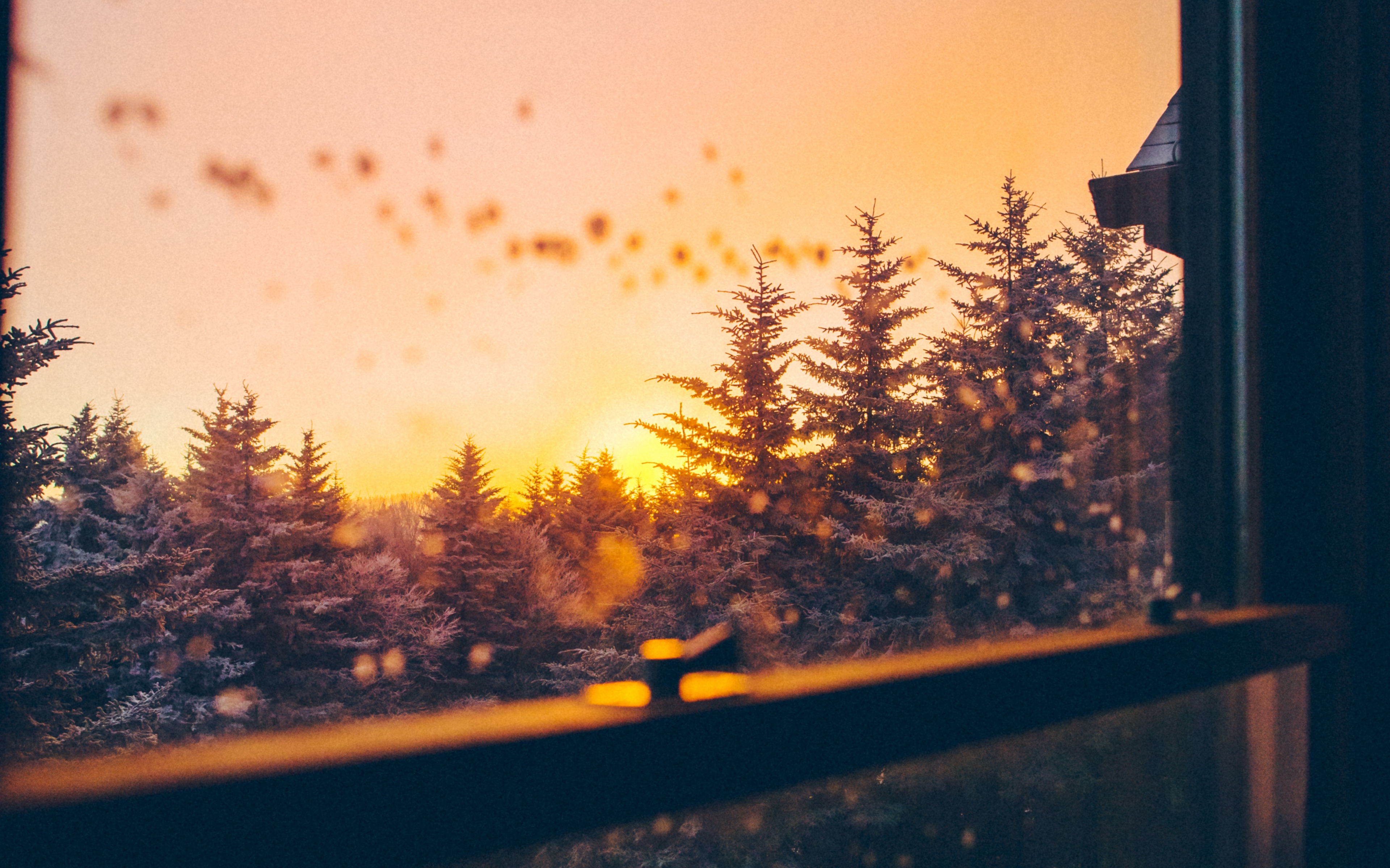 Wallpaper Window, Sunset, Trees, Sky, View, Overview - Quotes On Winter Evenings - HD Wallpaper 