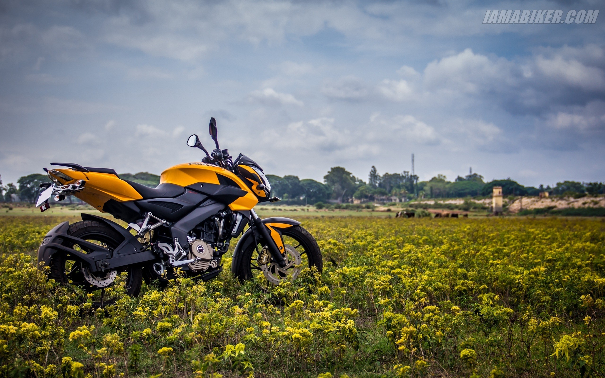 Bajaj Pulsar Ns200 - HD Wallpaper 