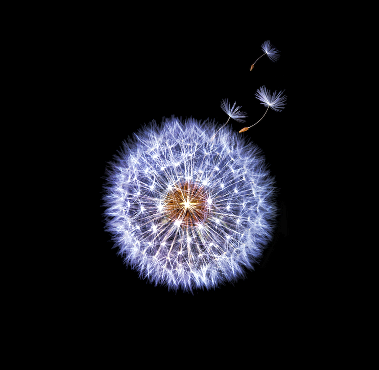 Samsung Galaxy Note 9 Wallpaper Official - Gif Wallpaper Samsung S9 - 1600x1562 Wallpaper Samsung Galaxy Note 9 Wallpaper Official - Gif Wallpaper Samsung S9 - 1600x1562 Wallpaper
