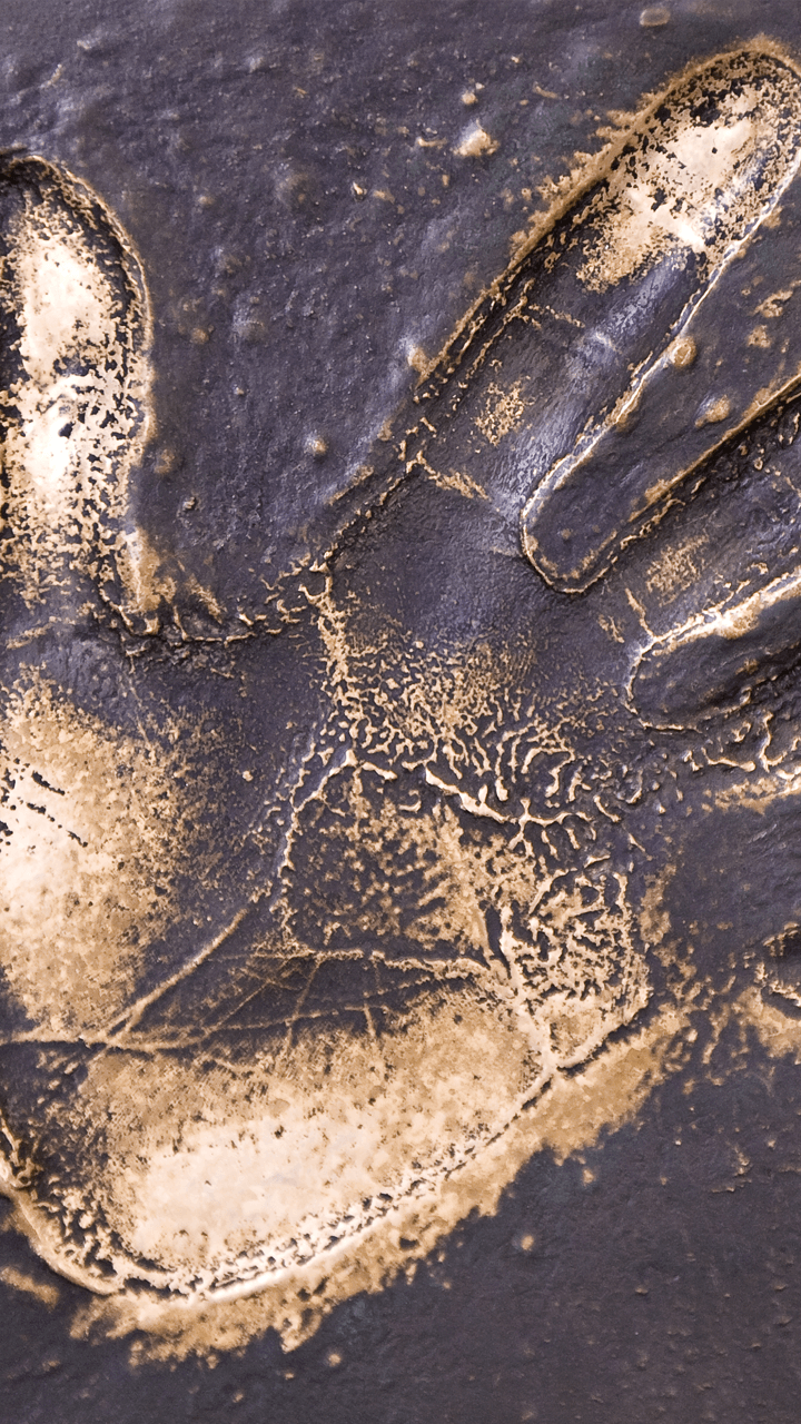 Coolpad Note 3 Wallpapers Themefoxx - Visual Arts - HD Wallpaper 