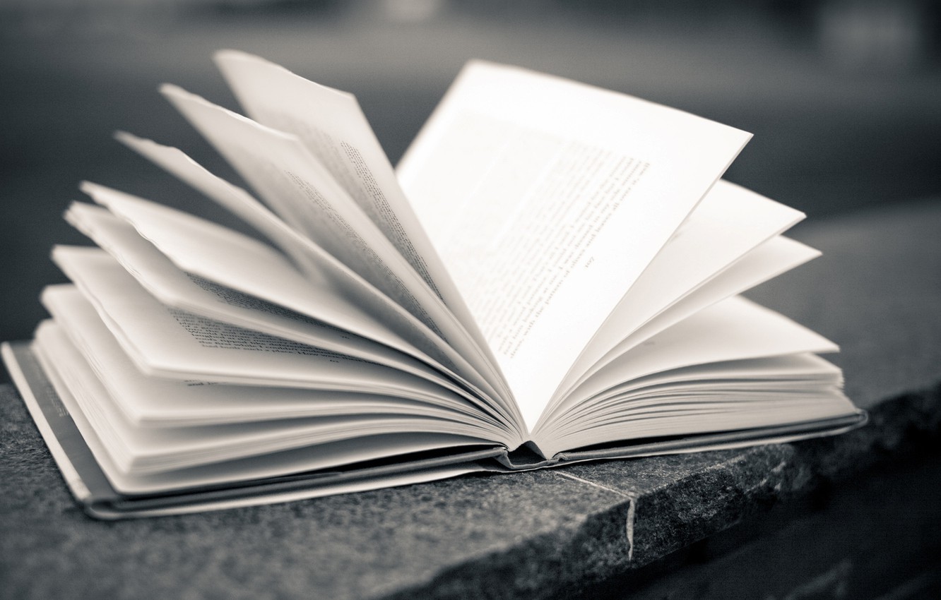 Photo Wallpaper Background, Wallpaper, Mood, Leaves, - Books Images Full Screen - HD Wallpaper 