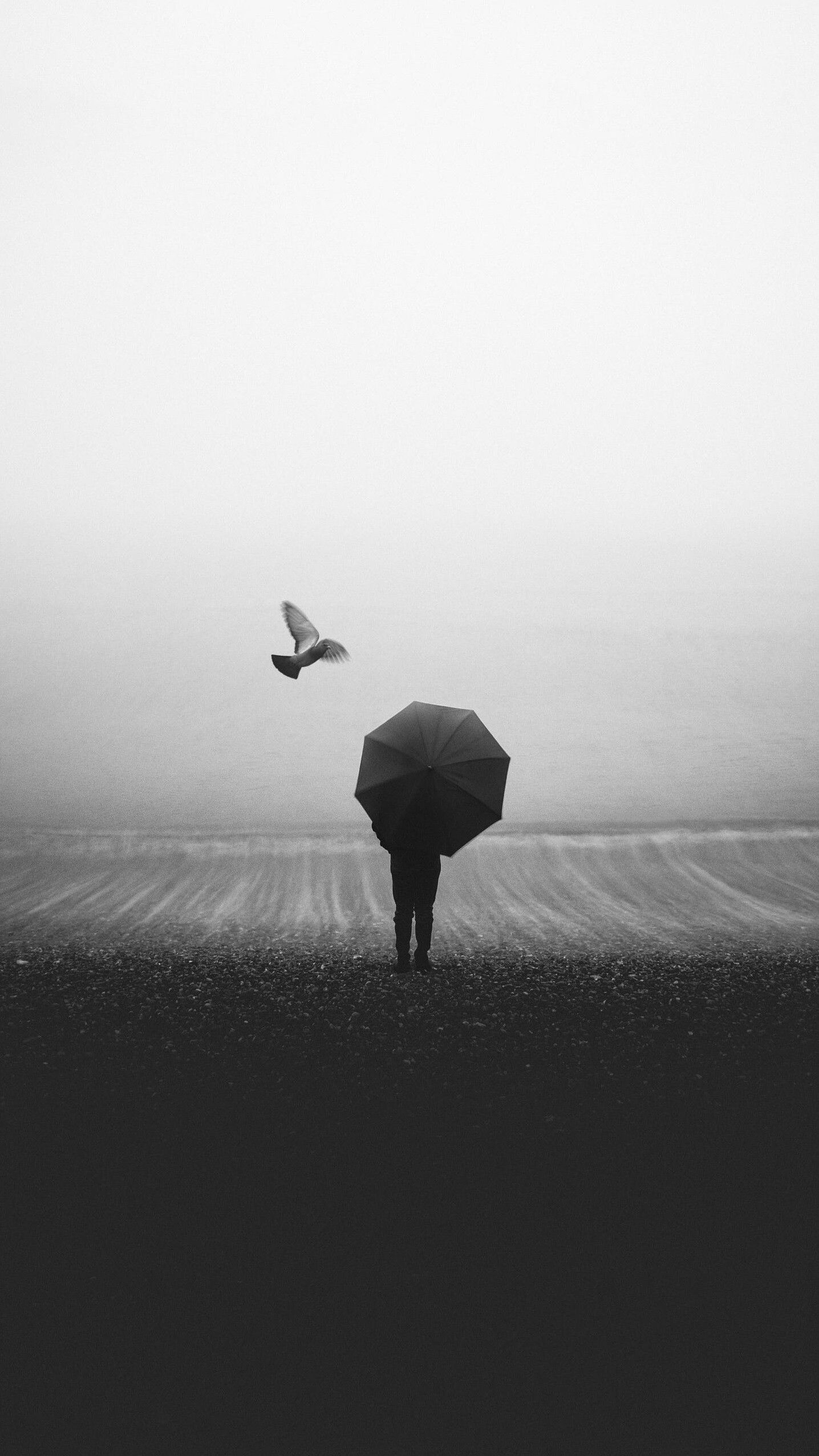 Monochrome - HD Wallpaper 