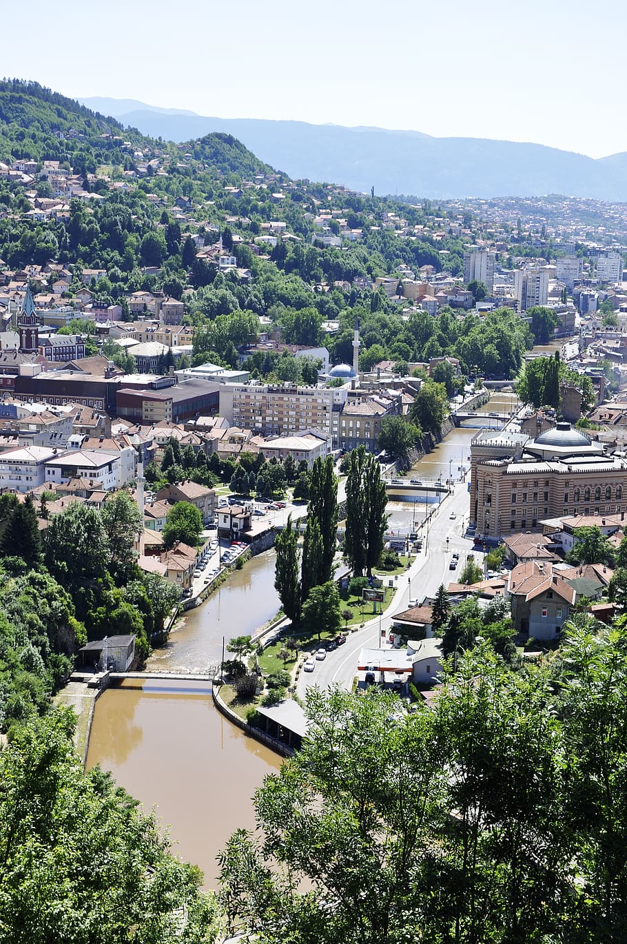 Sarajevo, Bosnia And Herzegovina, Adventure, Balcans, - Palm Tree - HD Wallpaper 
