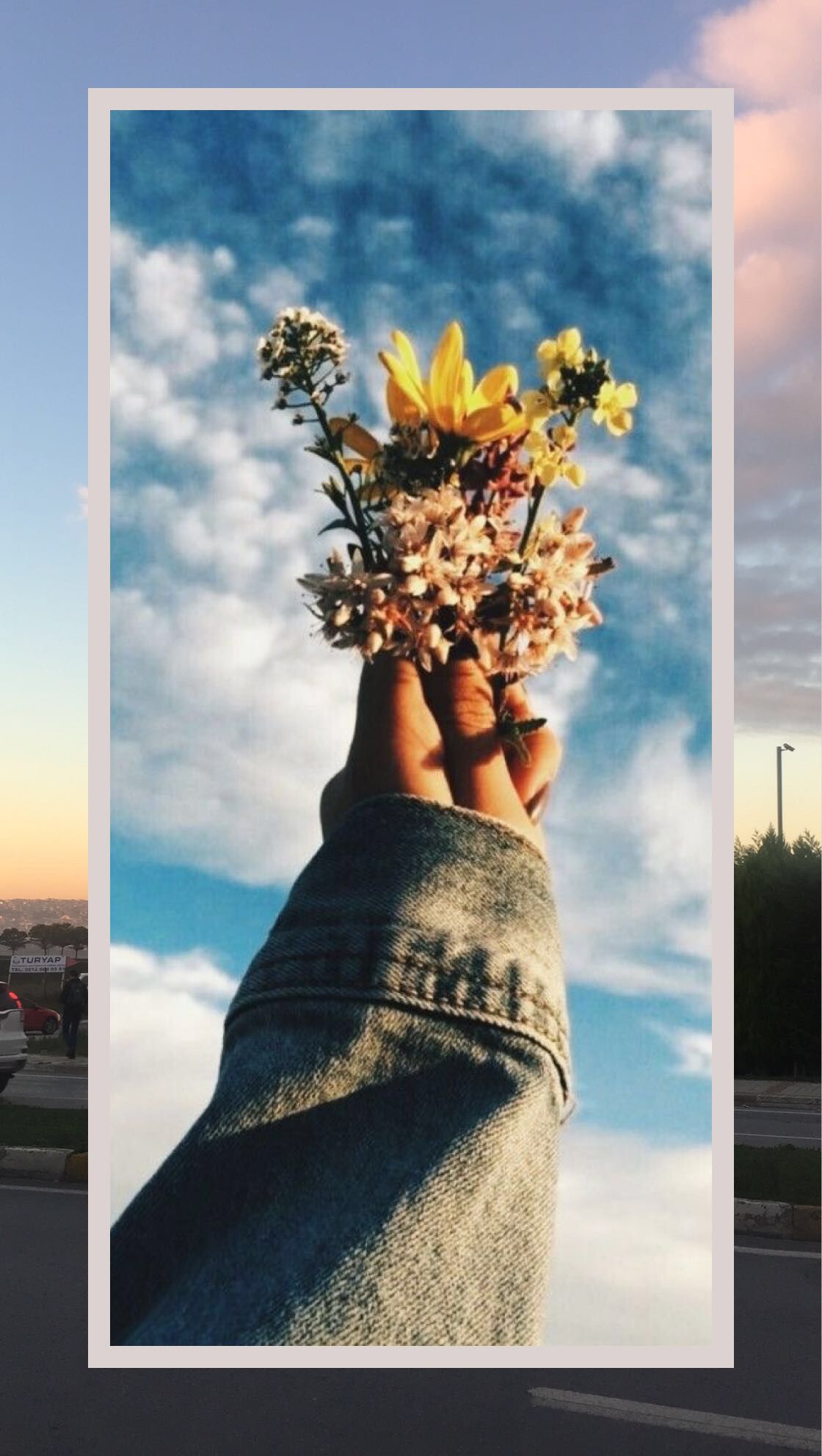 Photography - HD Wallpaper 