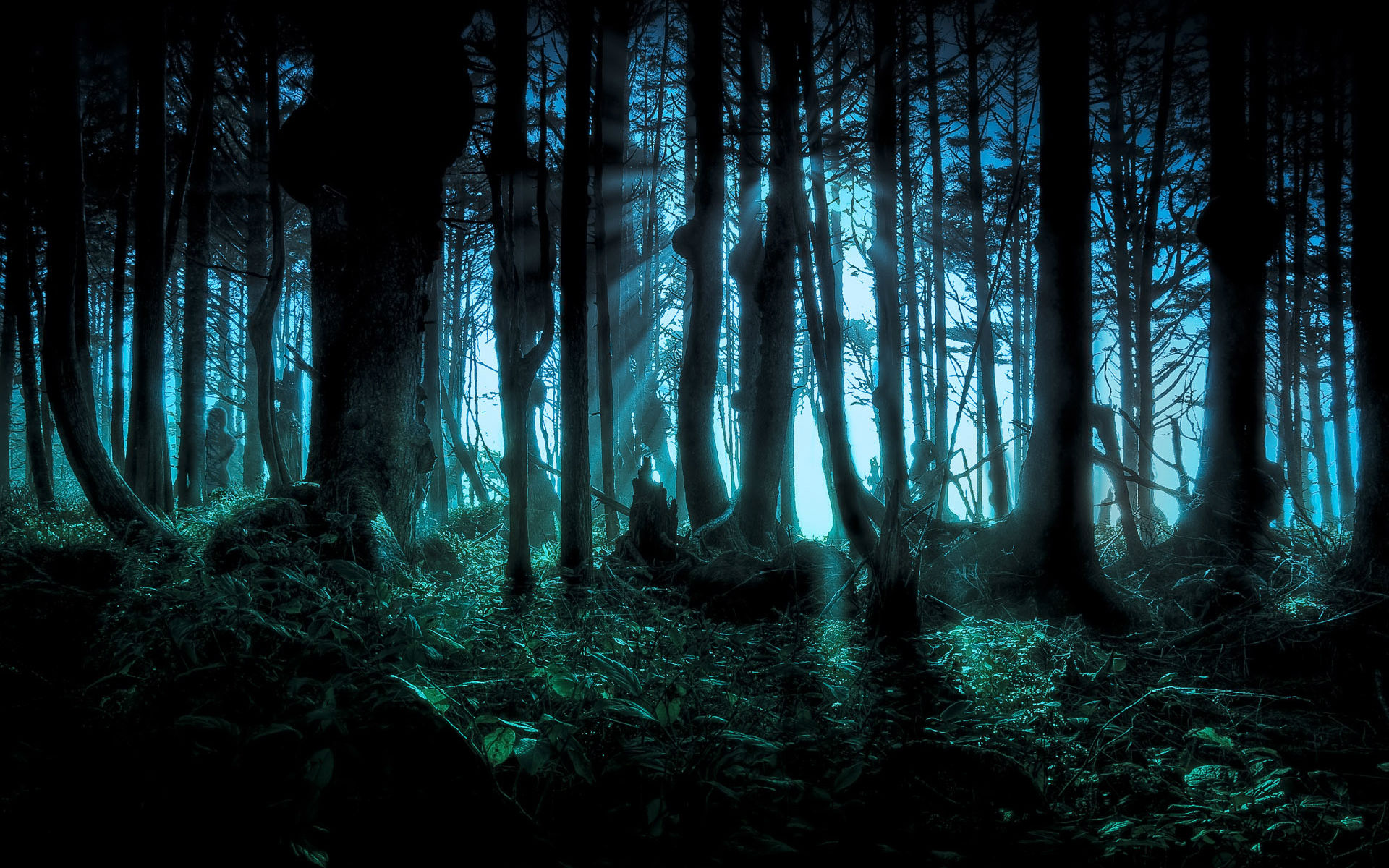 Spooky Forest Background - HD Wallpaper 