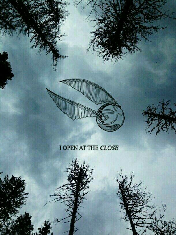Harry Potter, Wallpaper, And Background Image - Open To The Close - HD Wallpaper 