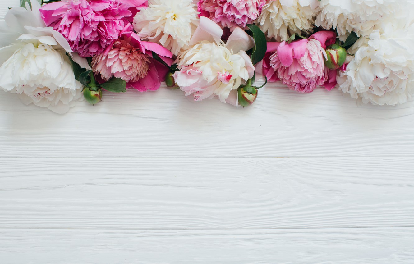 Photo Wallpaper Flowers, White, Pink, Peonies, Wooden - Peonies Background - HD Wallpaper 