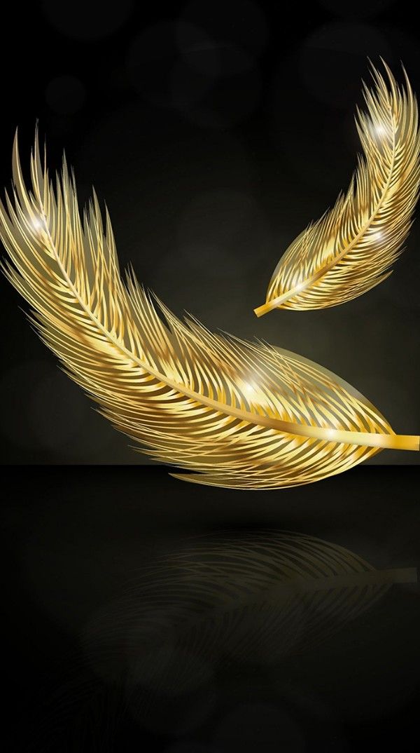 Black And Gold Feather - HD Wallpaper 
