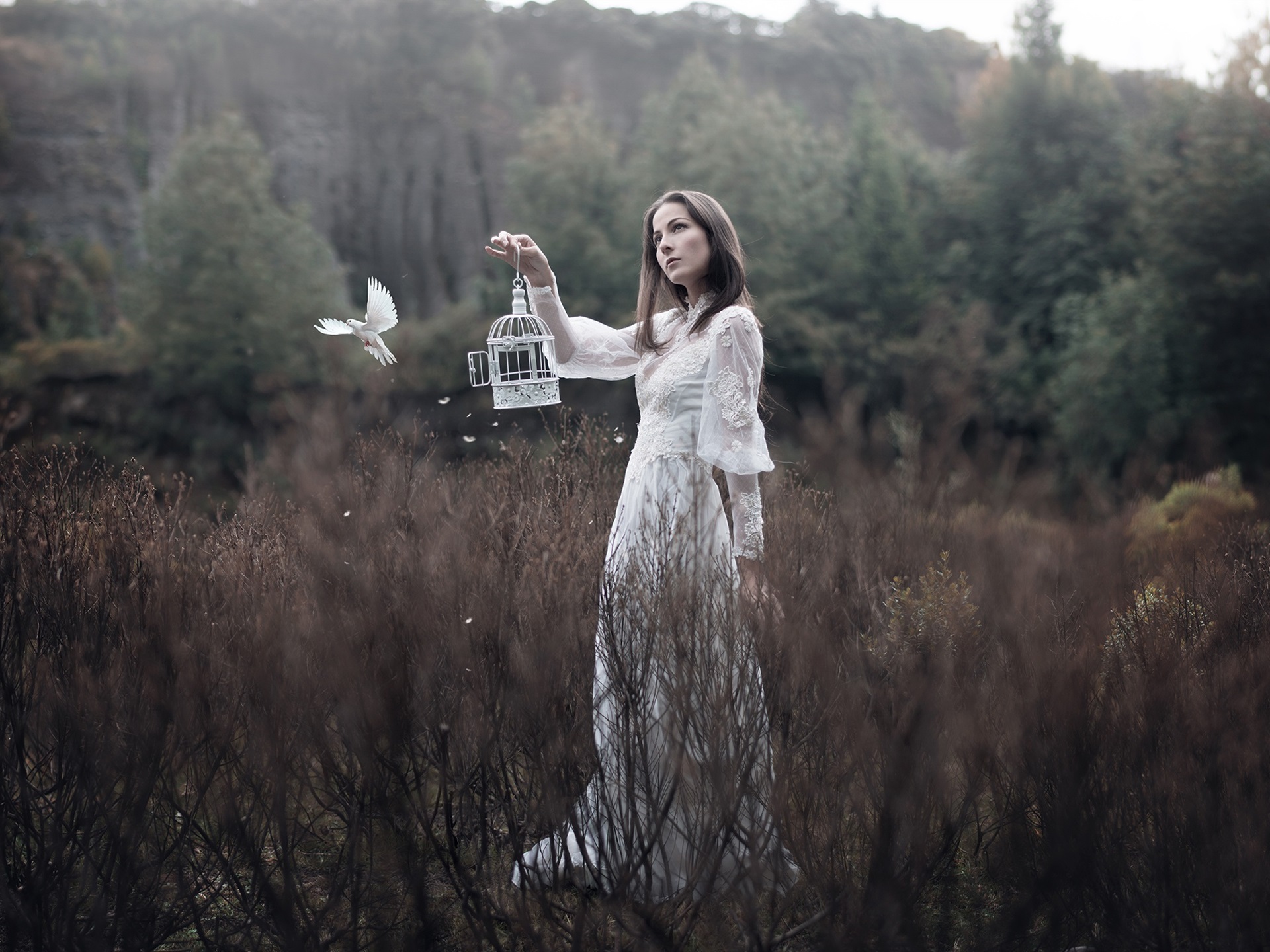 Wallpaper White Skirt Girl, Bird, Bushes - Children Of Iluvatar - HD Wallpaper 