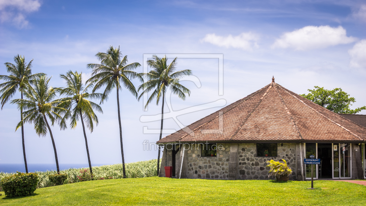 11988718 Das Haus In Der Karibik Erstellt Von Steffen - Attalea Speciosa - HD Wallpaper 