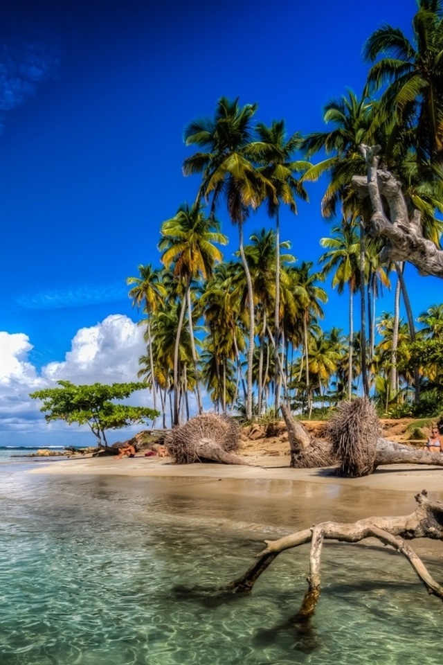 Iphone Hintergrundbilder Karibik, Palmen, Strand, Meer, - Dominican Republic Wallpaper Iphone - HD Wallpaper 