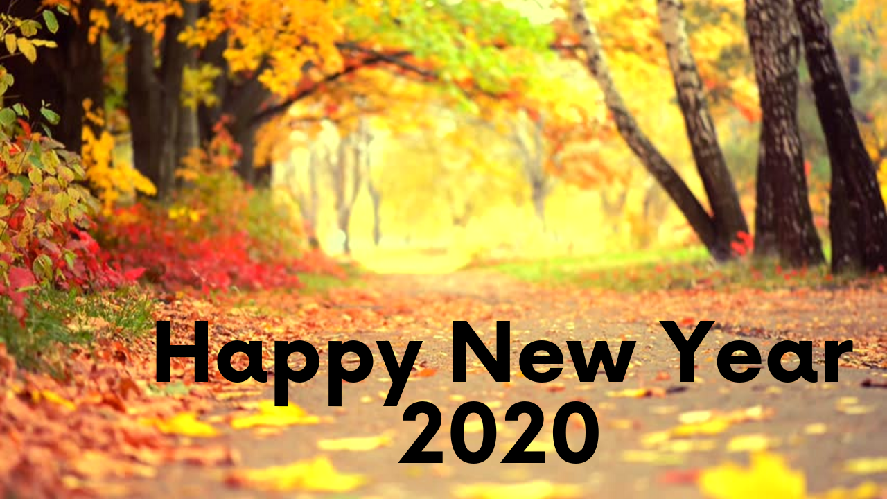 Autumn - HD Wallpaper 