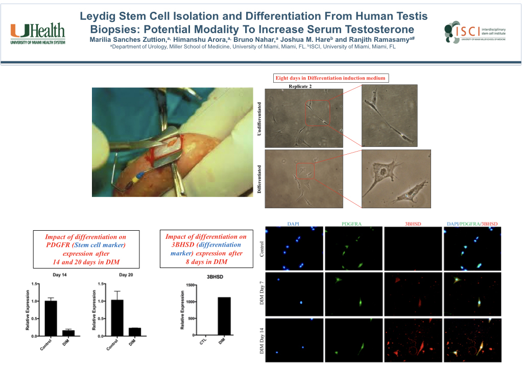 Screenshot - HD Wallpaper 