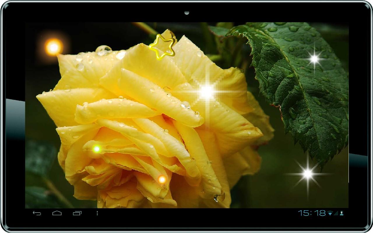 Animated Live Pictures - HD Wallpaper 