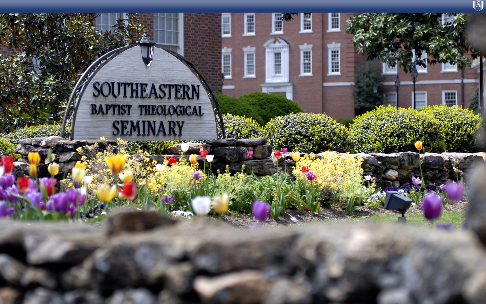 Full Screen Background Images For College - HD Wallpaper 