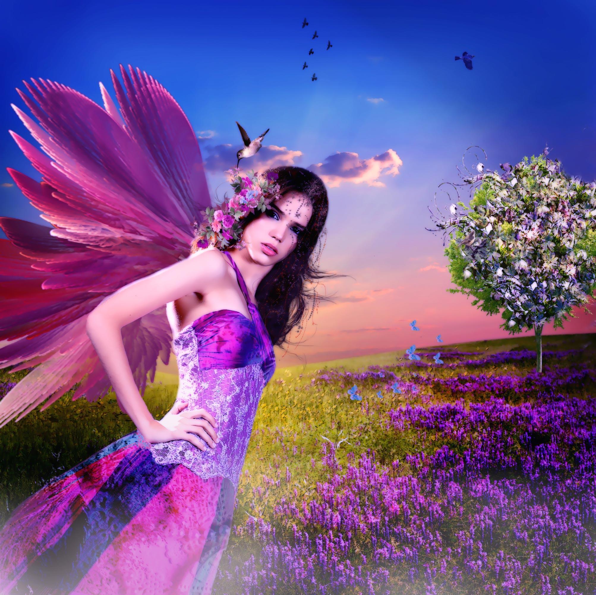 Âœ°purple Butterfly Fairy In Springâœ° - Colorful Butterfly And Fairy - HD Wallpaper 