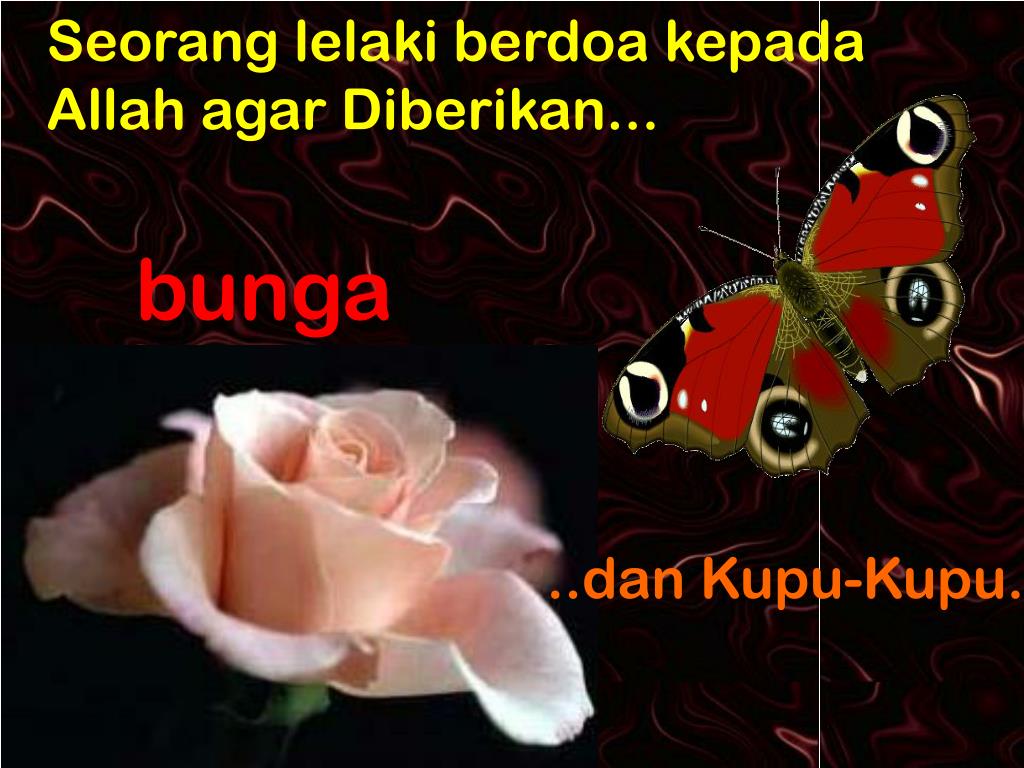 Alah Knows What Is Best For Us - HD Wallpaper 