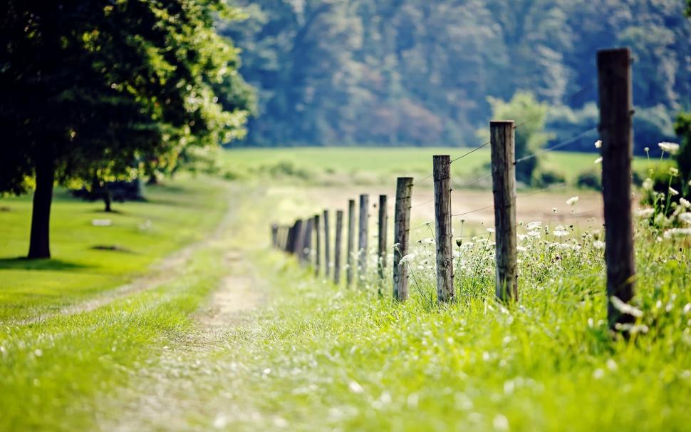 Nature, Fence, Meadow, Grass, Trees Wallpaper,nature - Nature Background Images Hd - HD Wallpaper 