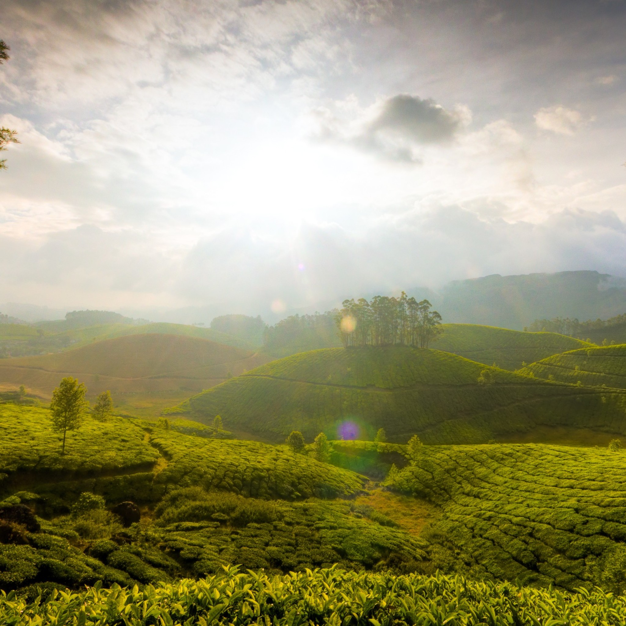 Nature Oil Paintings Landscapes - HD Wallpaper 