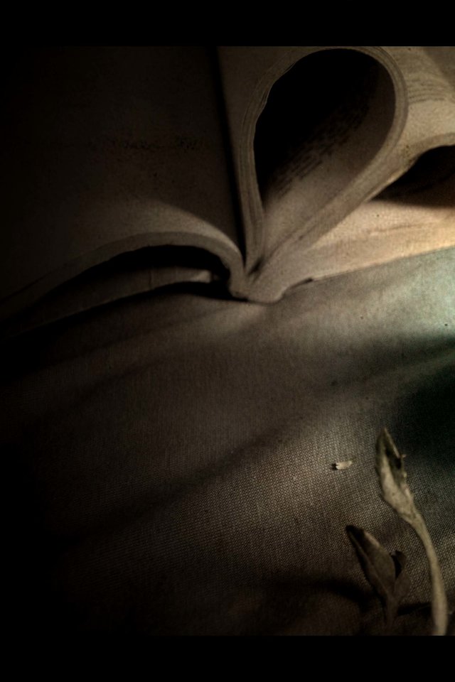 Love Story - Kata Kata Anonim Tentang Cinta - HD Wallpaper 