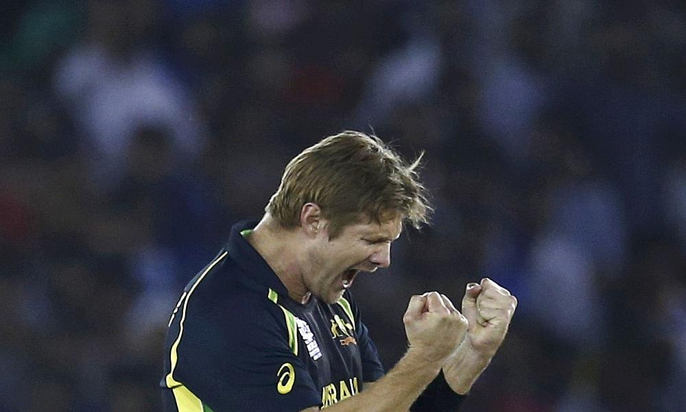 Shane Watson - Shane Watson Quetta Gladiators - HD Wallpaper 