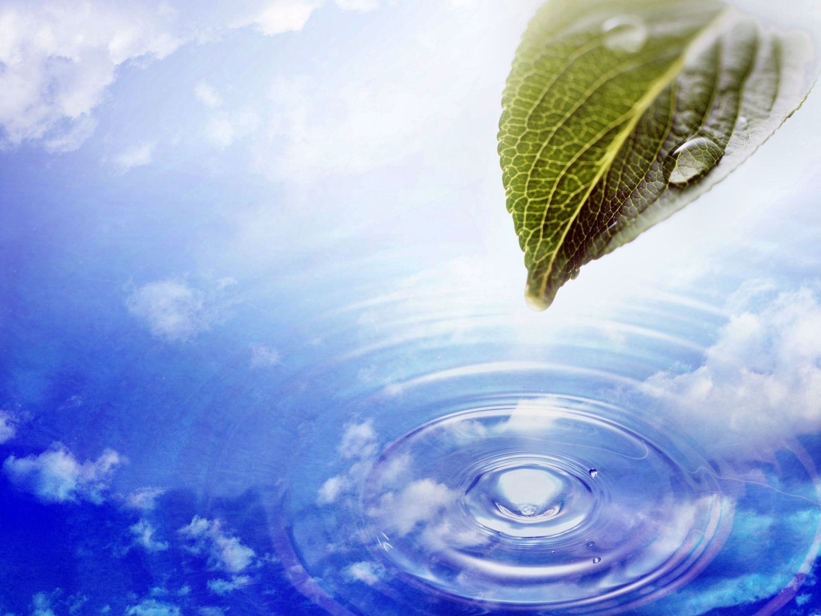 Amazing 3d Nature Wallpaper Waterfall 3d Nature Wallpaper - Moving Wallpaper Hd Download - HD Wallpaper 
