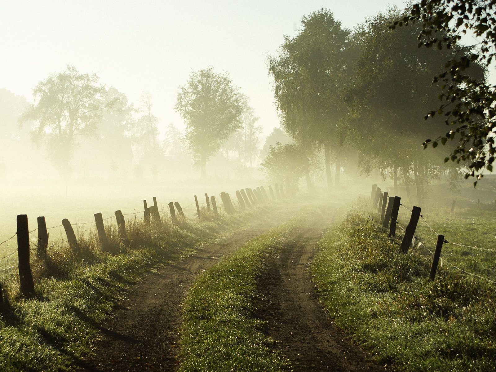 Good Morning Misty Morning - HD Wallpaper 
