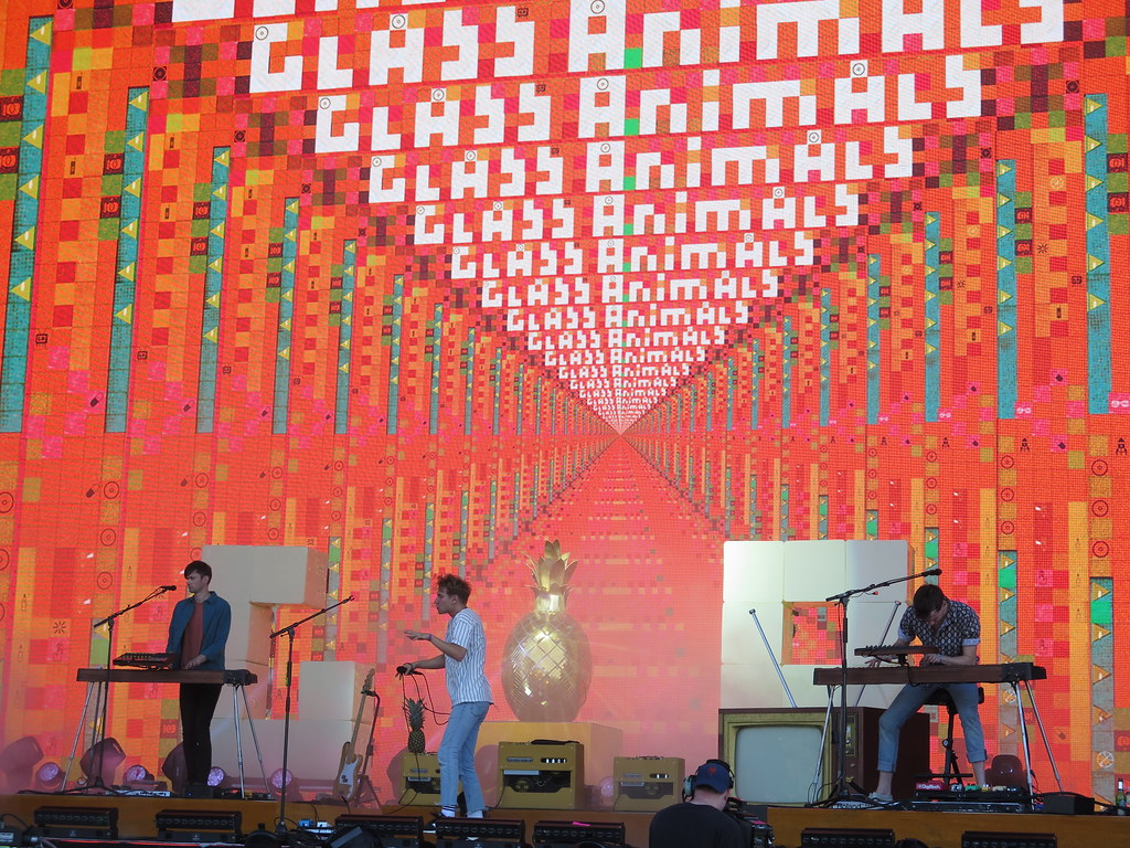 Glass Animals - HD Wallpaper 