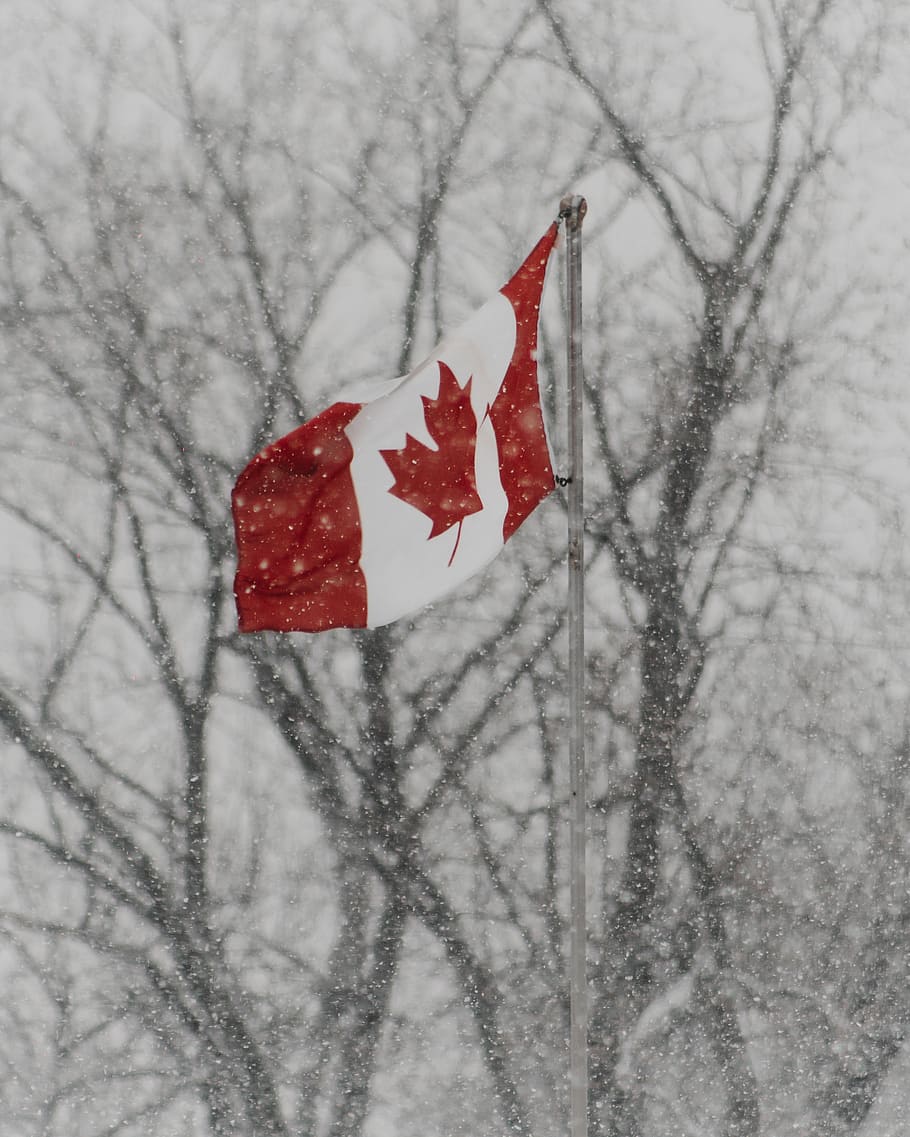 Canada Flag, Symbol, Nature, Outdoors, Winter, Snow, - Flag - HD Wallpaper 