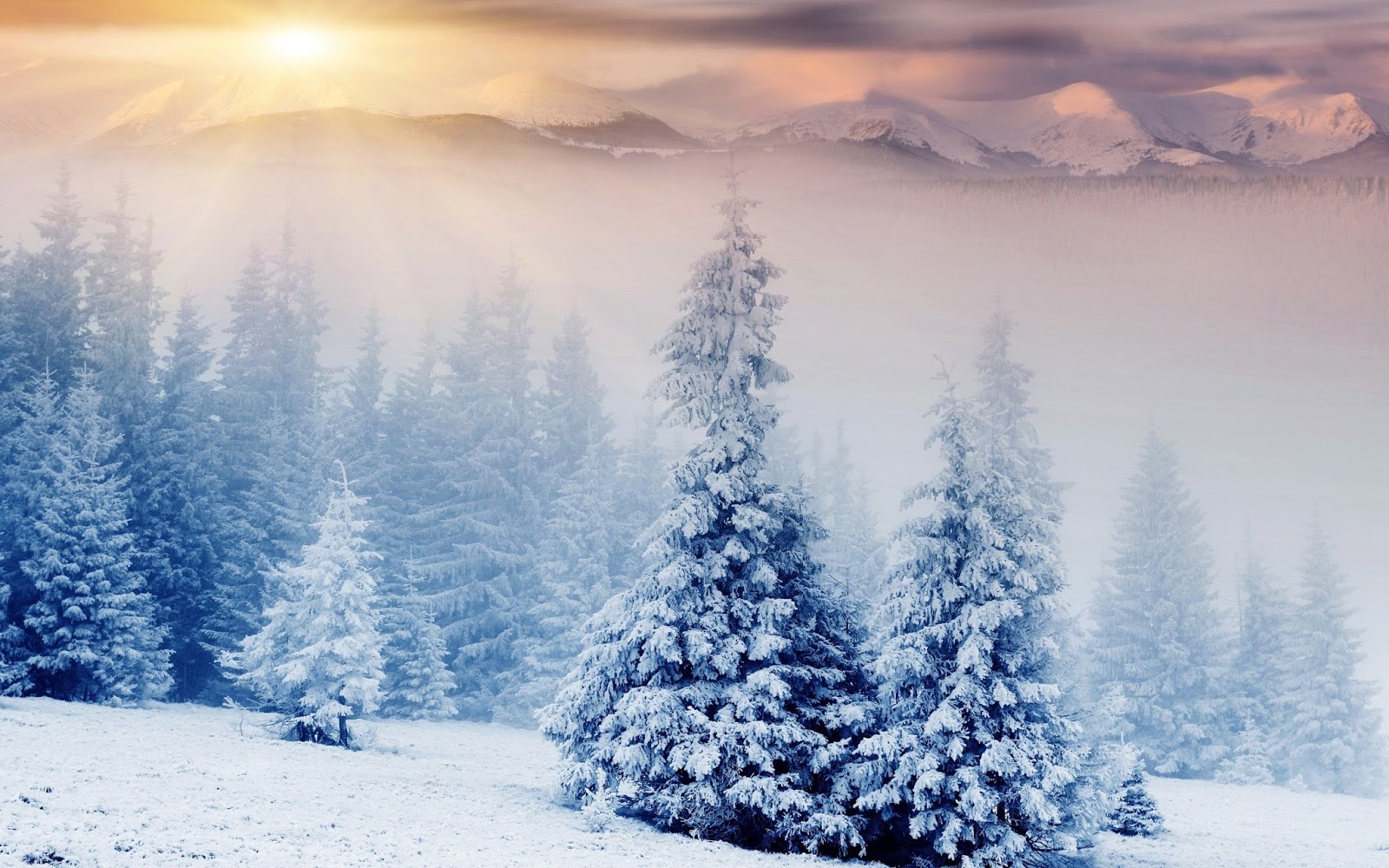 Winter Wonderland Sunrise - HD Wallpaper 