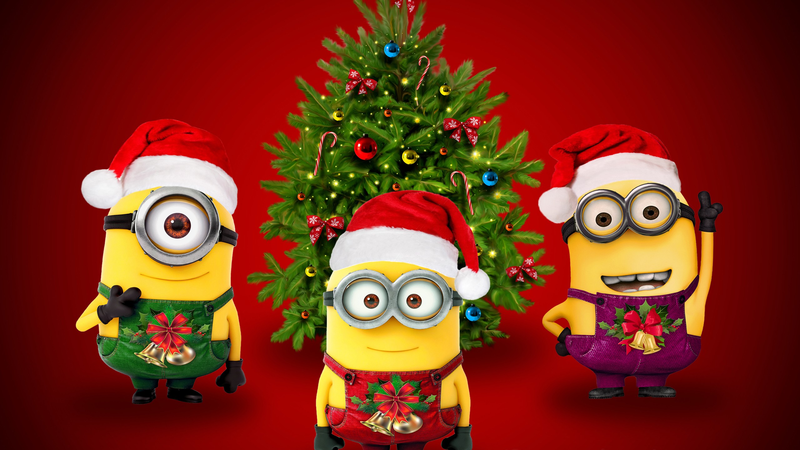 High Resolution Christmas Minion - HD Wallpaper 