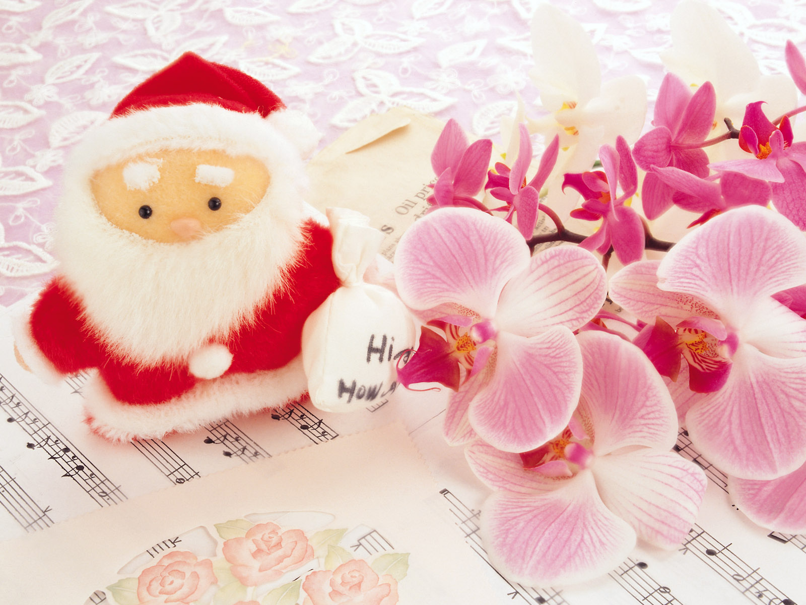 Christmas Wallpaper - Hình Nền Hoa Phong Lan Đẹp - HD Wallpaper 
