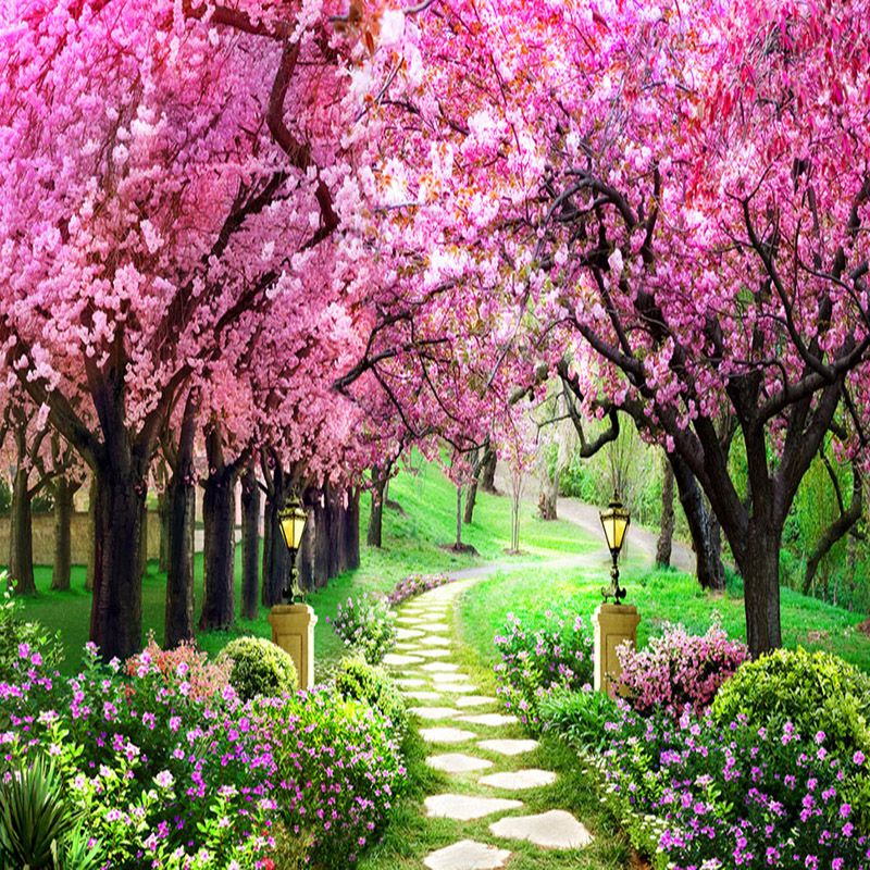 Cherry Blossom Garden Background - HD Wallpaper 