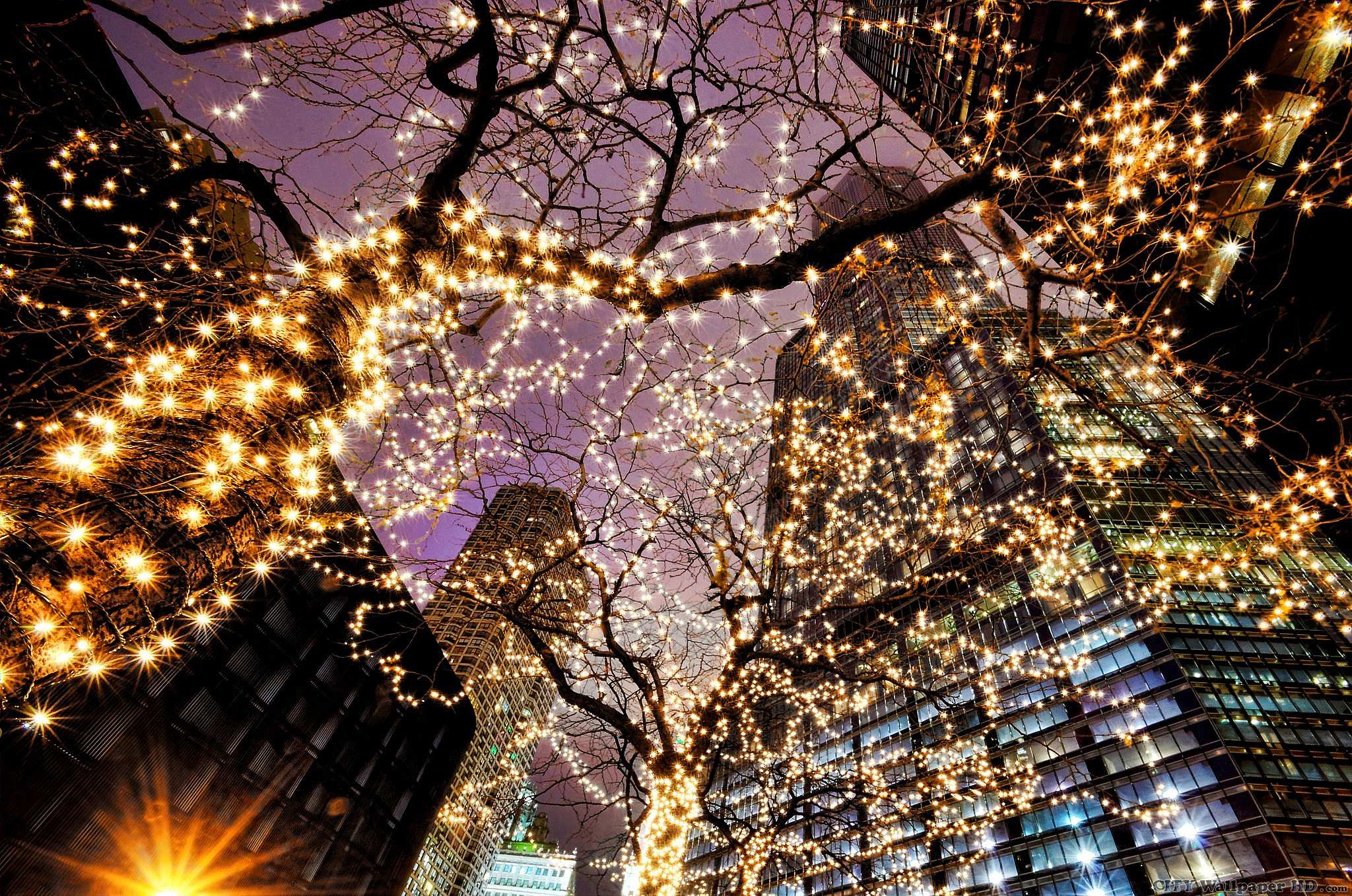 Ano Novo 2016 Imagens - Christmas Chicago - HD Wallpaper 
