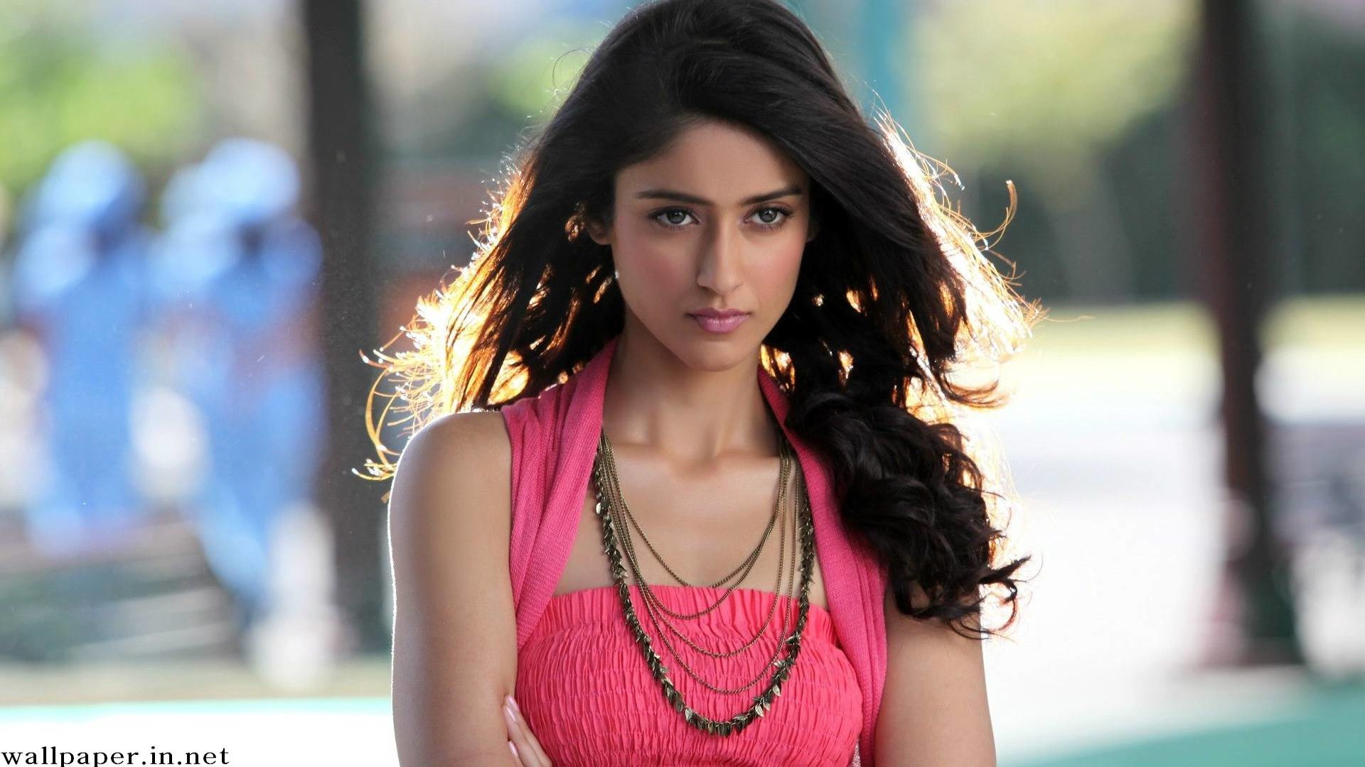 Bollywood Actress Full Hd Wallpapers - Bollywood Actress Hd - 1920x1080 Wallpaper Bollywood Actress Full Hd Wallpapers - Bollywood Actress Hd - 1920x1080 Wallpaper