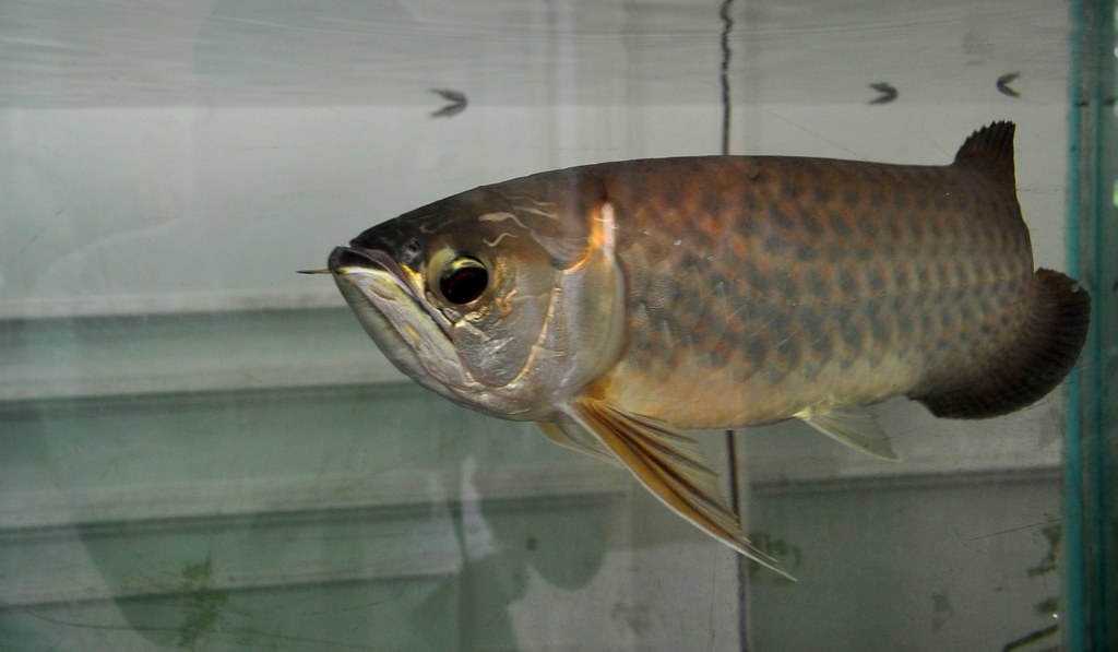 Lunge - HD Wallpaper 