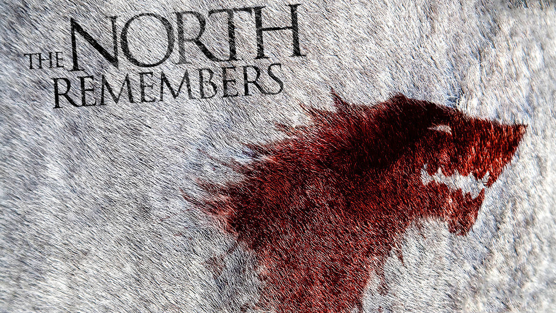 The North Remembers Game Of Thrones Tv Show Wallpaper - Game Of Thrones The North Remembers - HD Wallpaper 