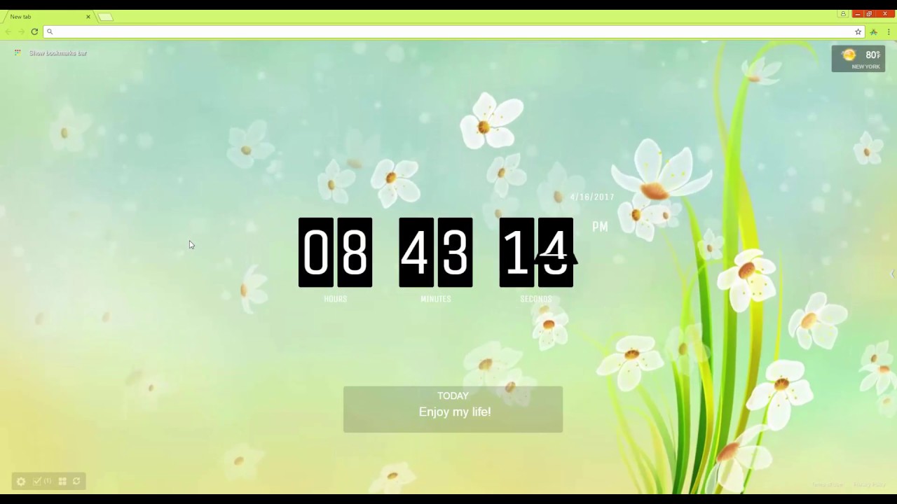 Orchid - HD Wallpaper 