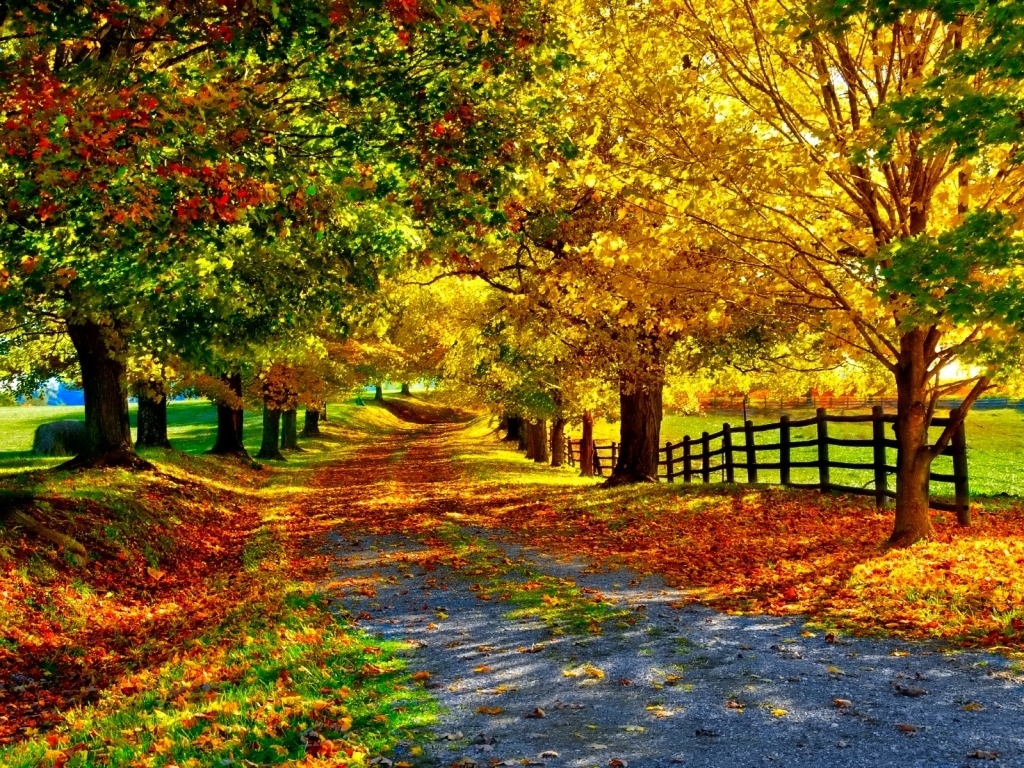 Julia Doherty - Beautiful Fall - HD Wallpaper 