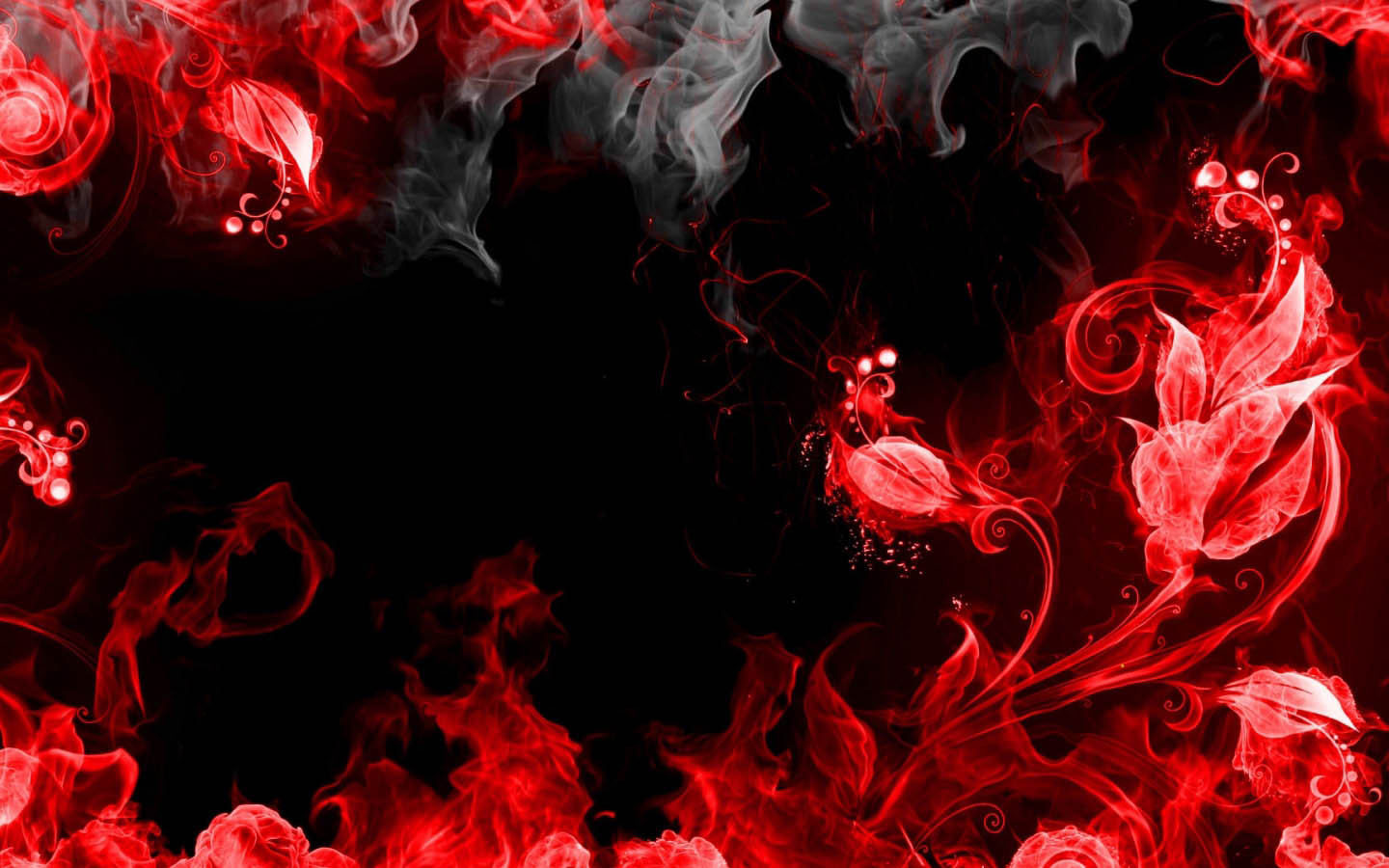 Red Fire Rose Flower Black Abstract - Black And Red Backgrounds - 1440x900  Wallpaper 