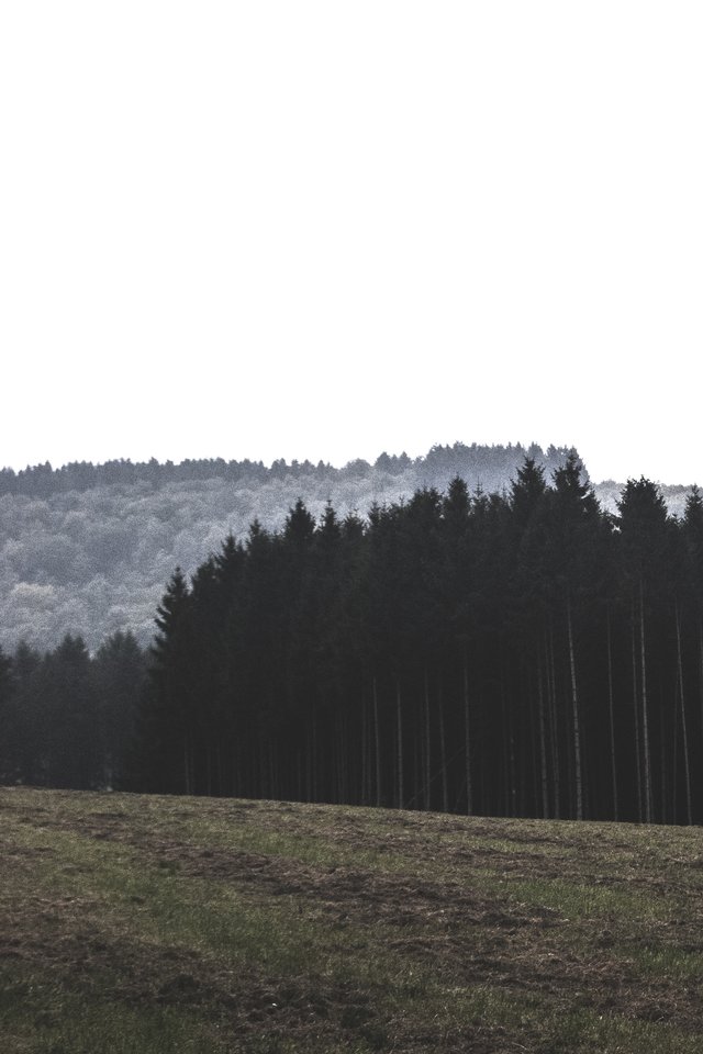Landscape Trees Forest - Beatitudes Facebook Cover - HD Wallpaper 