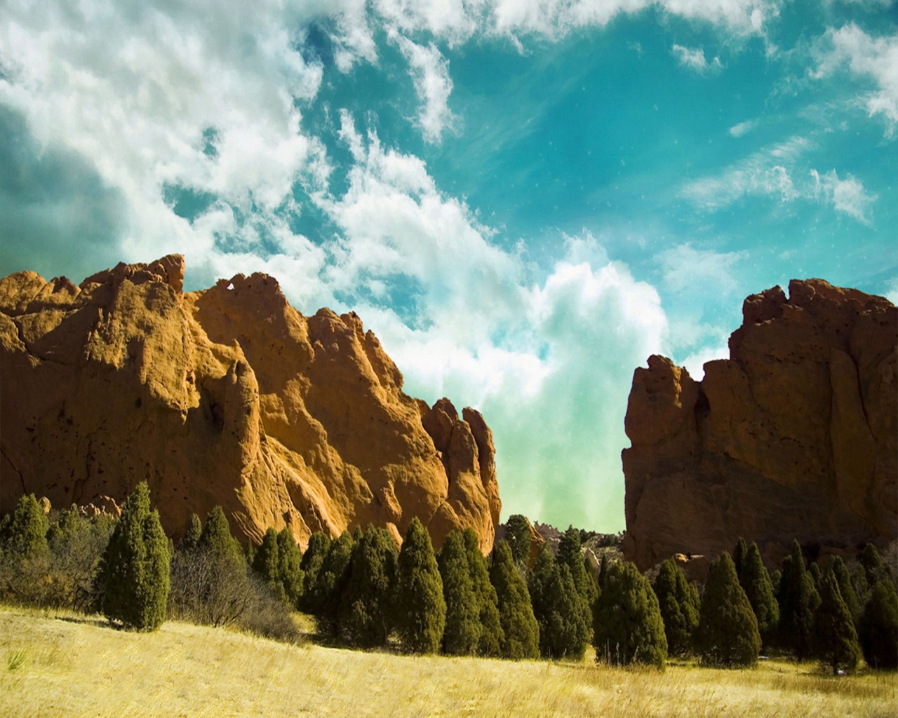 Field - HD Wallpaper 