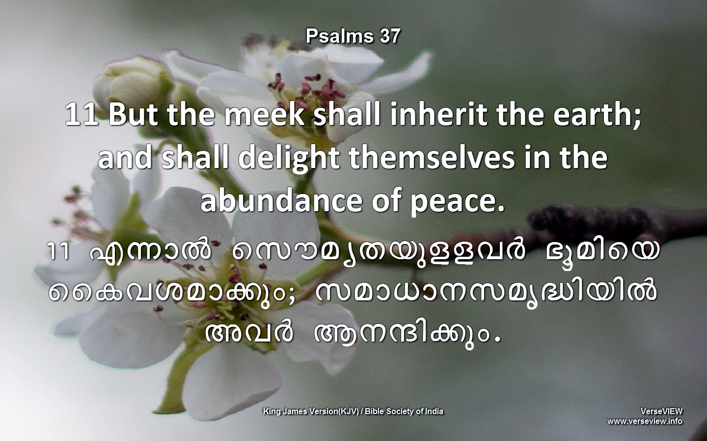 Malayalam English Bible Verses - HD Wallpaper 