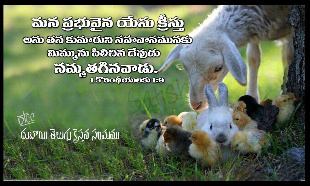 Easter Lambs And Chicks - HD Wallpaper 