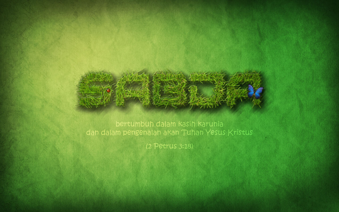 Grass - HD Wallpaper 