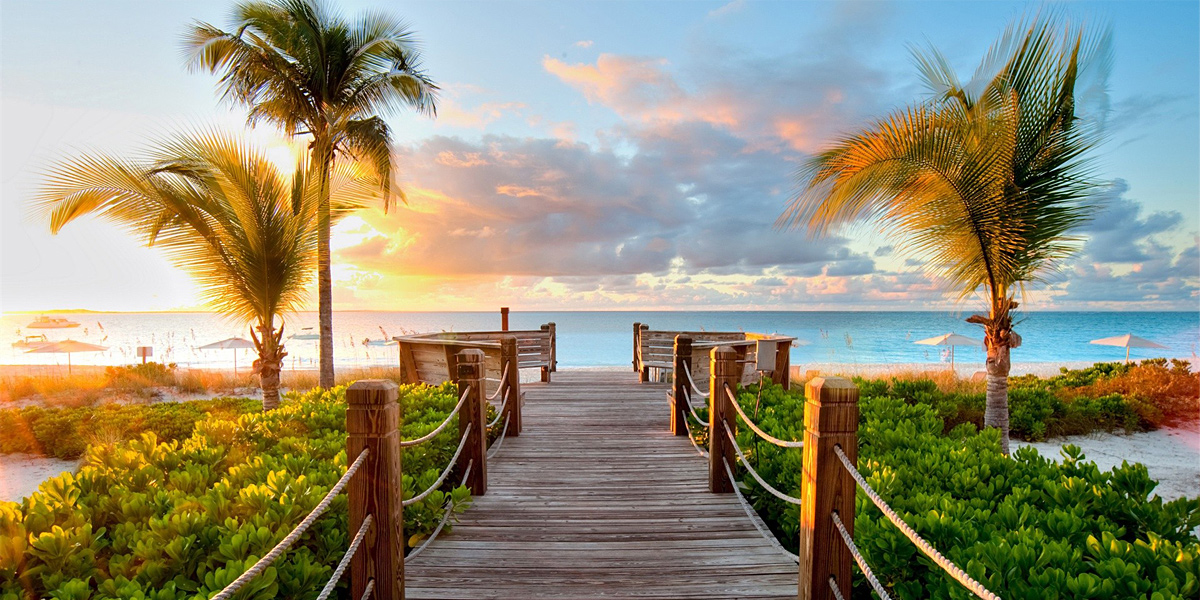 Back Ground Image Nature - HD Wallpaper 