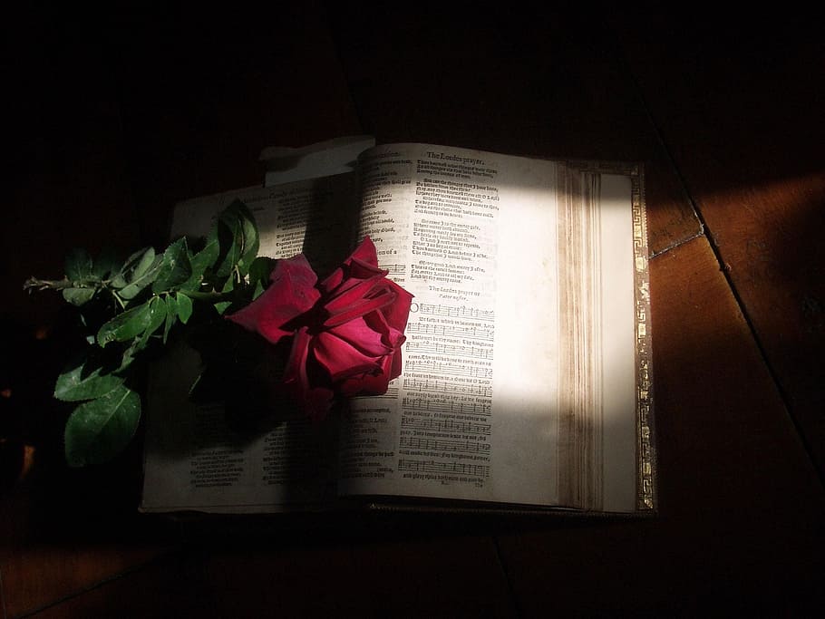 Bible, Christian, Church, Love, Salvation, Holy Bible, - Old Books And Roses - HD Wallpaper 