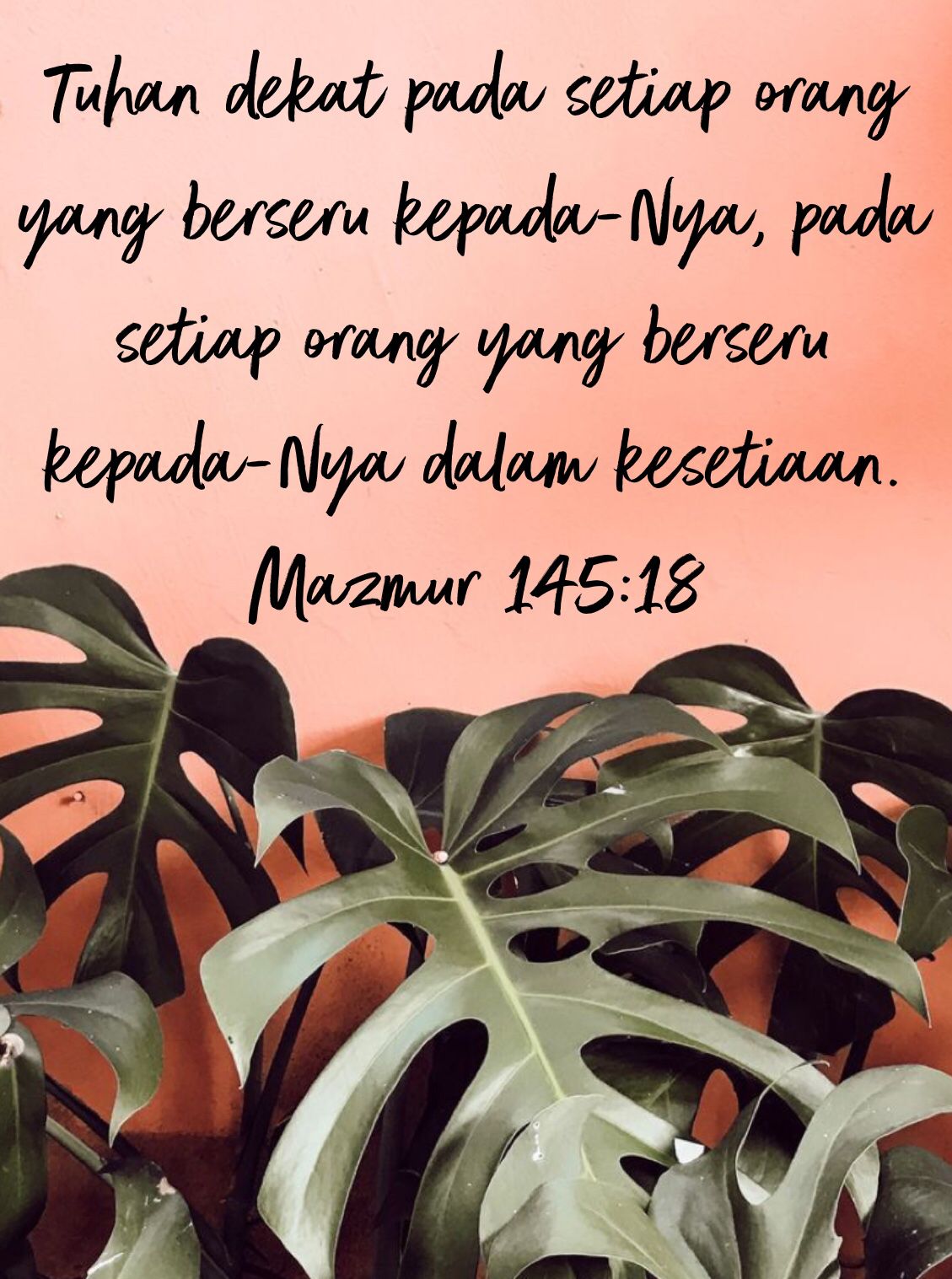 Iphone Lockscreen House Plants - HD Wallpaper 