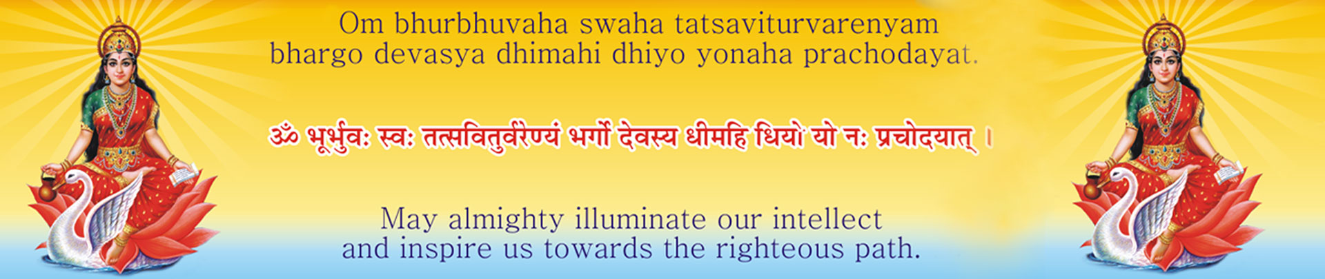 Amber - HD Wallpaper 