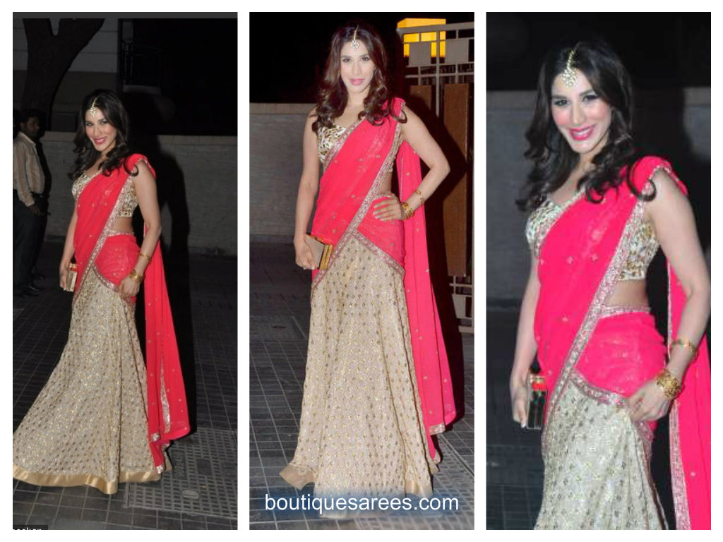 Sophie Choudry In Anushka Khanna - HD Wallpaper 